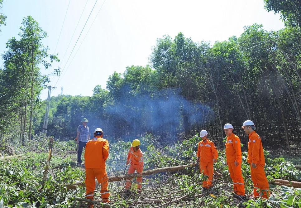 công tác giải phónghành lang an toàn lưới điện trên địa bàn thị trấn Thường Xuân