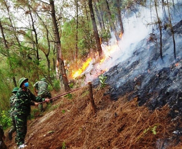Toàn tỉnh Nghệ An đã nâng cấp dự báo cháy rừng ở cấp 5 - cấp cực kỳ nguy hiểm