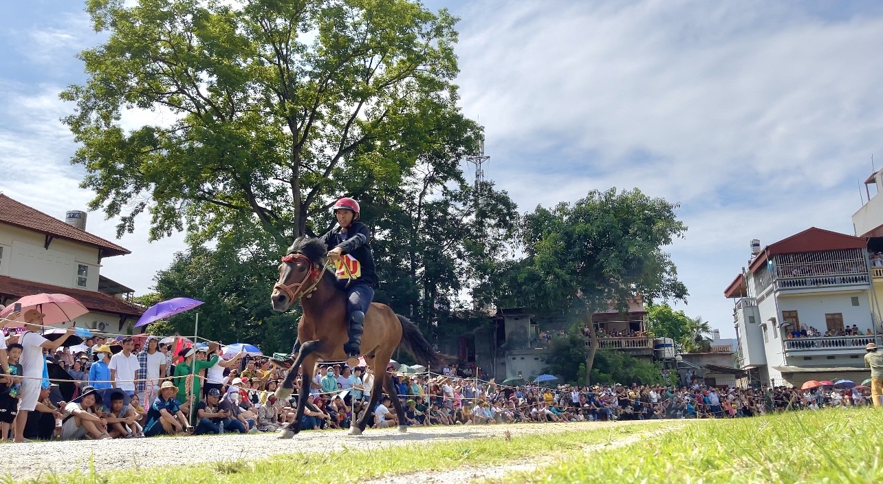Giải đua ngựa truyền thống huyện Bắc Hà thu hút hàng vạn du khách tới xem và cổ vũ