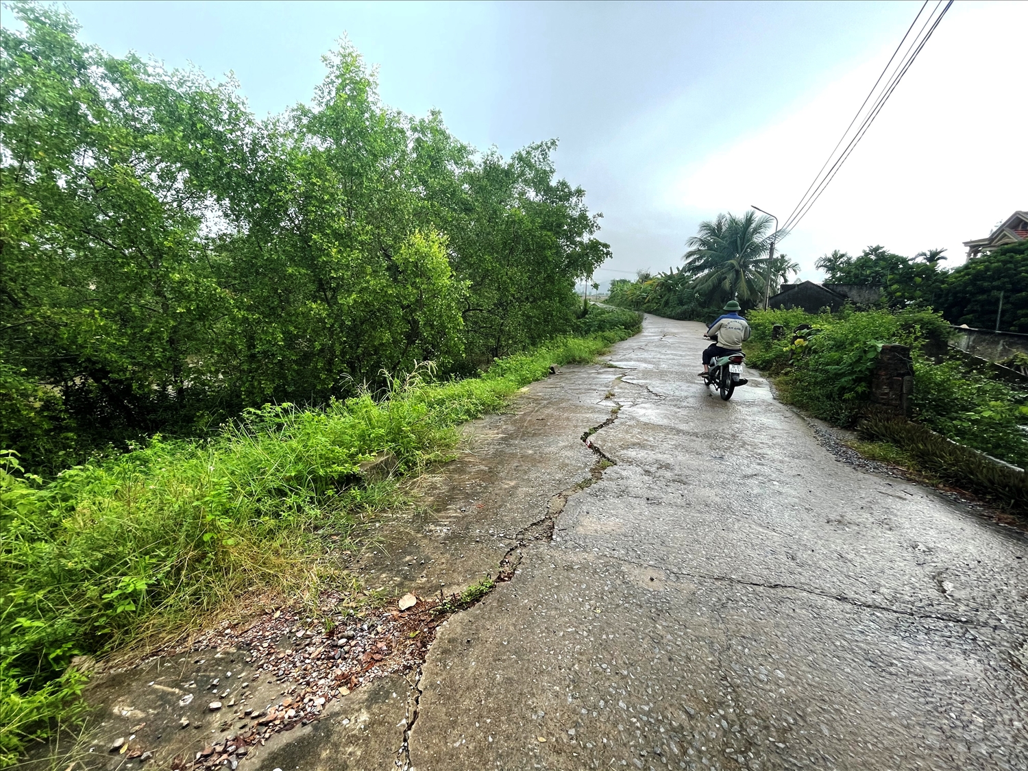 Trong thời gian qua, nhiều tuyến đê trên địa bàn Thanh Hóa xuống cấp nghiêm trọng tiềm ẩn nhiều nguy cơ mất an toàn khi mùa mưa lũ đến