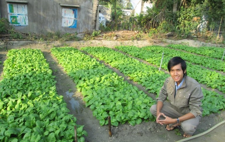 Lê Minh Vương bên vườn rau hữu cơ