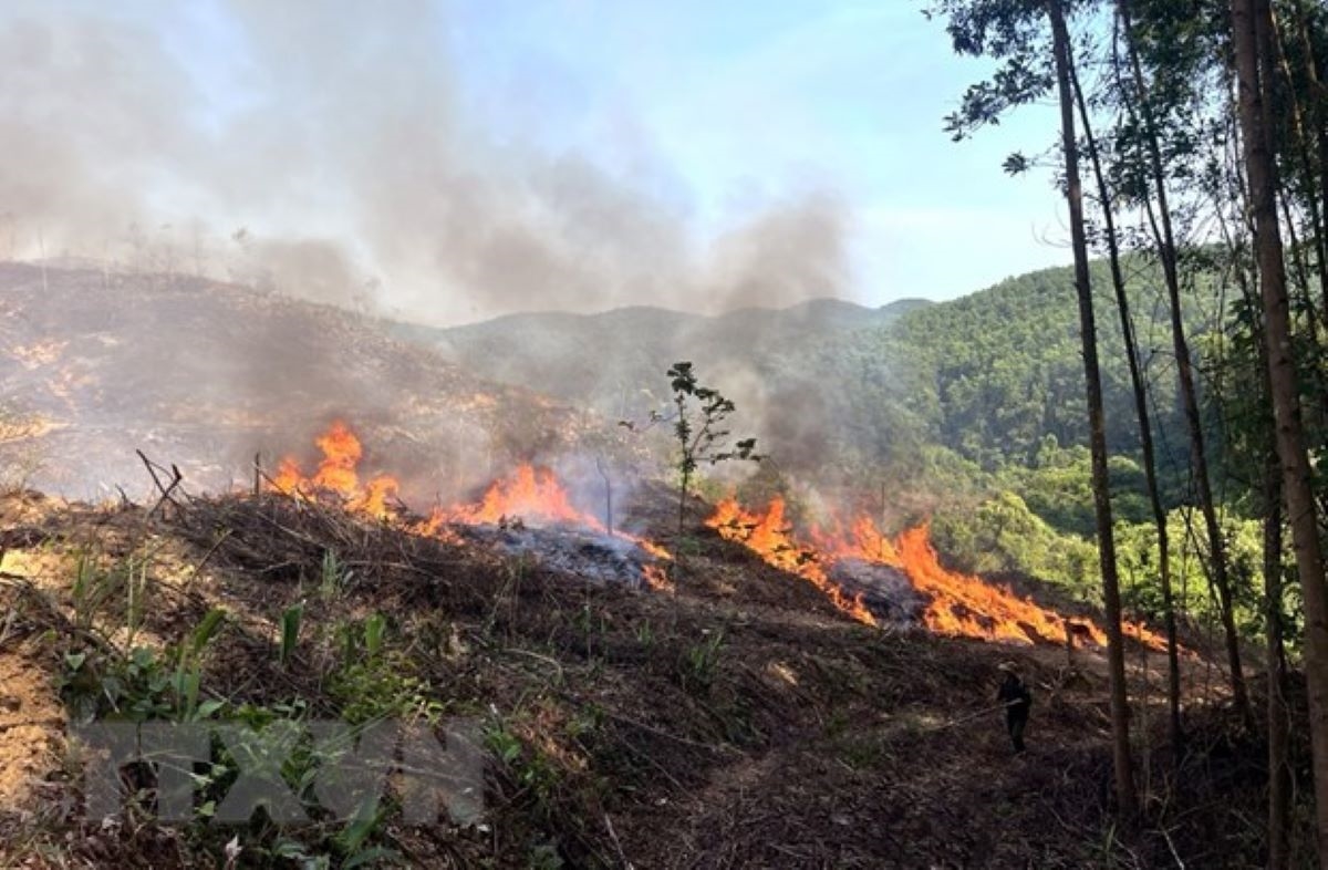  Bắc Trung Bộ: Cảnh báo cháy rừng đã được đưa lên mức cao nhất 1
