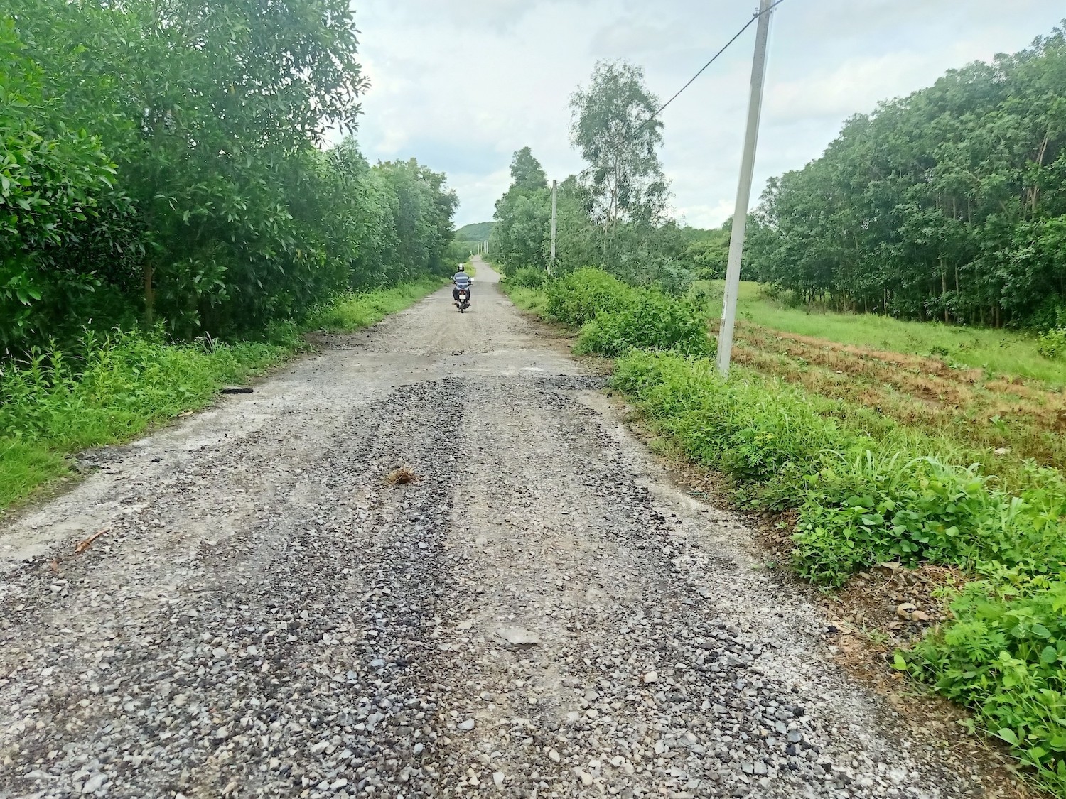  Thực trạng một trong nhiều đoạn đang hư hỏng của con đường giao thông nông thôn vừa được đưa vào sử dụng thuộc địa phận cánh đồng thôn 6, xã Bình Trung, huyện Châu Đức