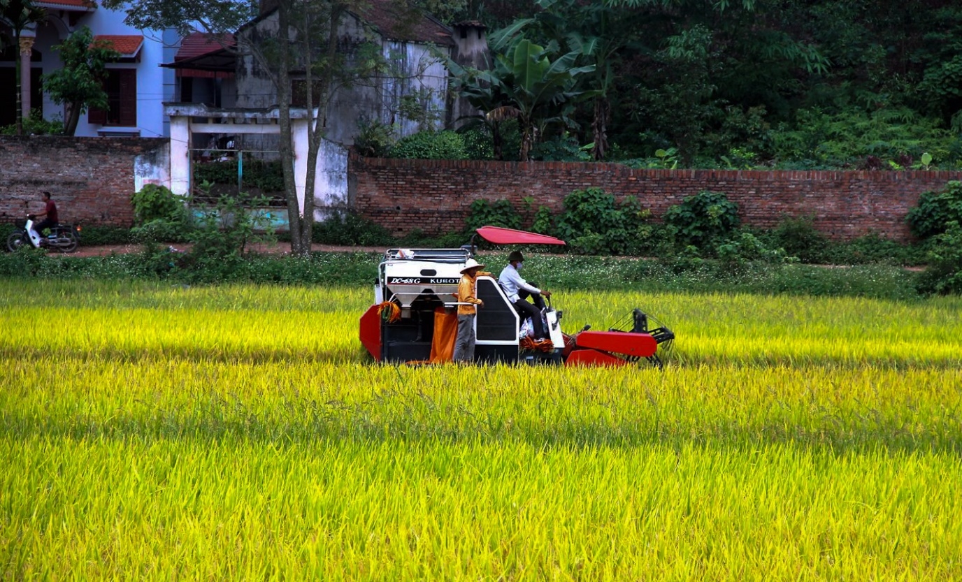 Áp dụng khoa học kỹ thuật trong sản xuất nông nghiệp đem lại hiệu quả kinh tế cao cho người dân trên địa bàn huyện Lục Nam (Bắc Giang)