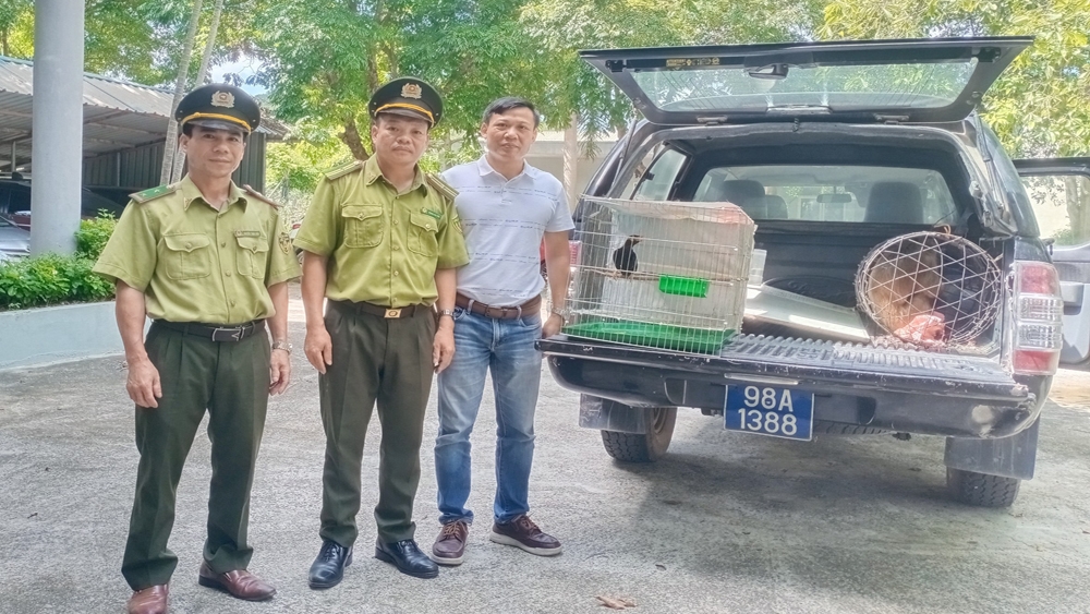 Lực lượng kiểm lâm Bắc Giang chuyển giao cá thể yểng và khỉ mặt đỏ cho Trung tâm Cứu hộ động vật hoang dã Hà Nội