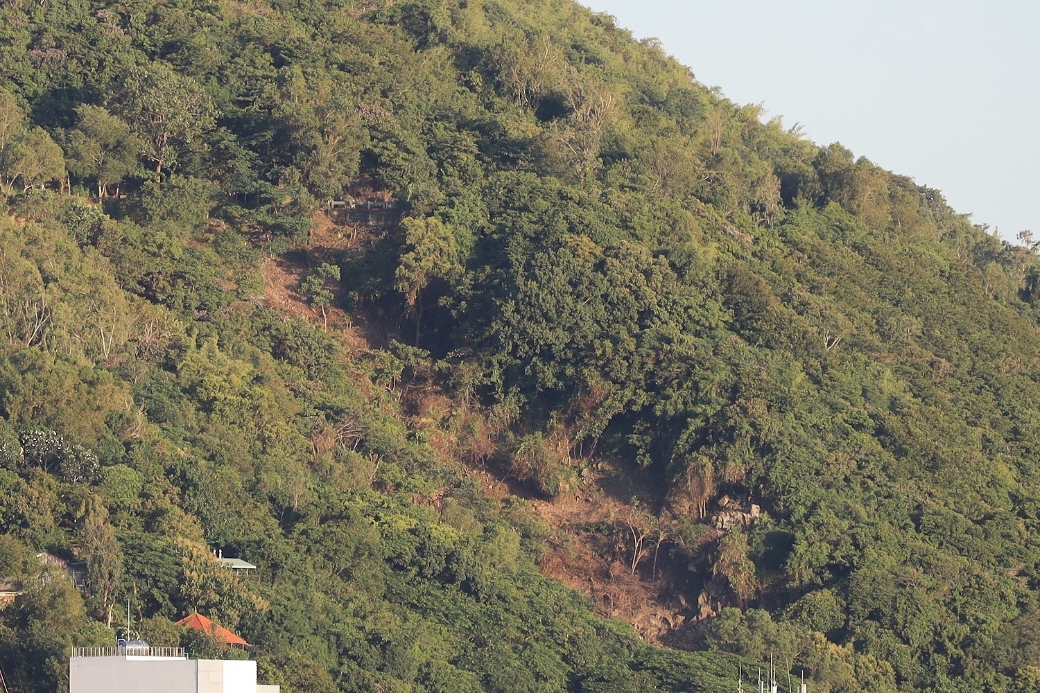 Núi Nhỏ (TP. Vũng Tàu) và hình ảnh một mảng cây xanh bị chặt hạ, gây thắc mắc trong nhân dân những ngày qua