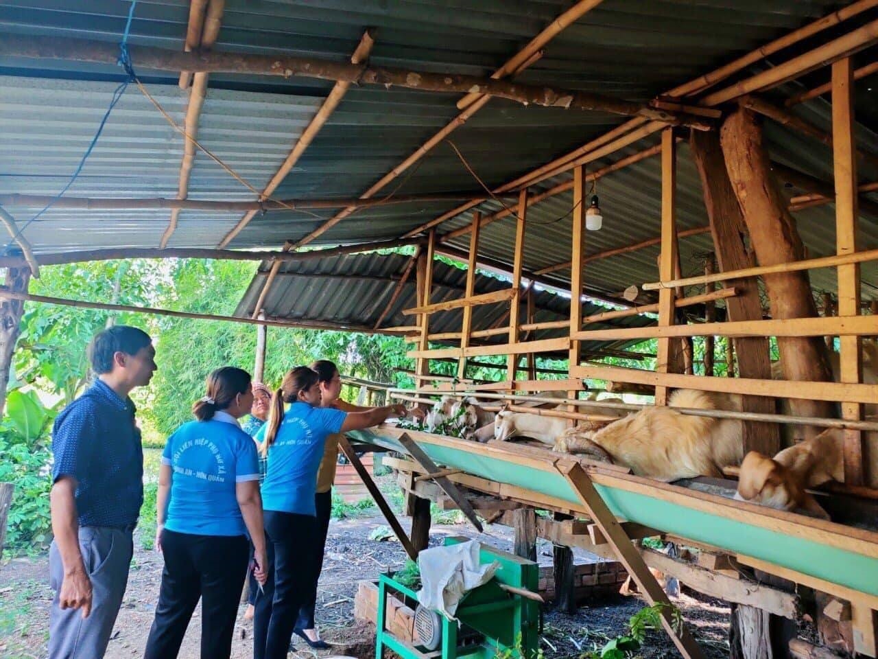 Một hộ gia đình đồng bào DTTS tại huyện Hớn Quản thoát nghèo nhờ nhận được hỗ trợ về con giống chăn nuôi (Ảnh BDT BP)