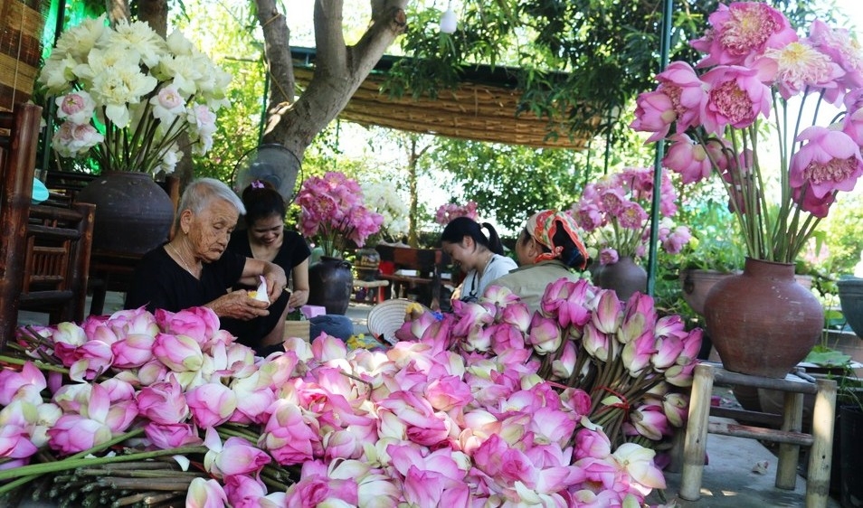 Người dân làng Sen sơ chế các sản phẩm tách ra từ hoa sen