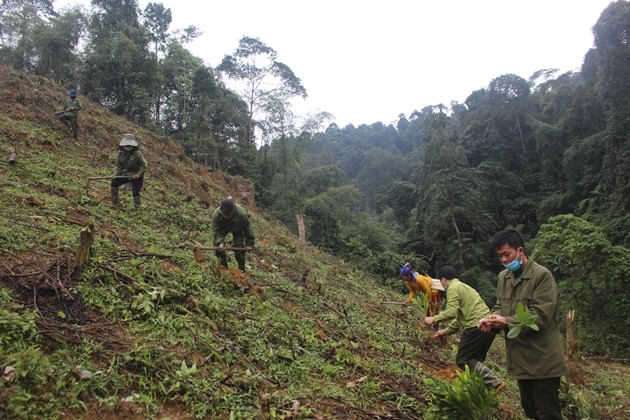 Có tư liệu sản xuất, bà con vùng DTTS huyện Con Cuông đã chú trọng canh tác và làm tốt công tác bảo vệ rừng