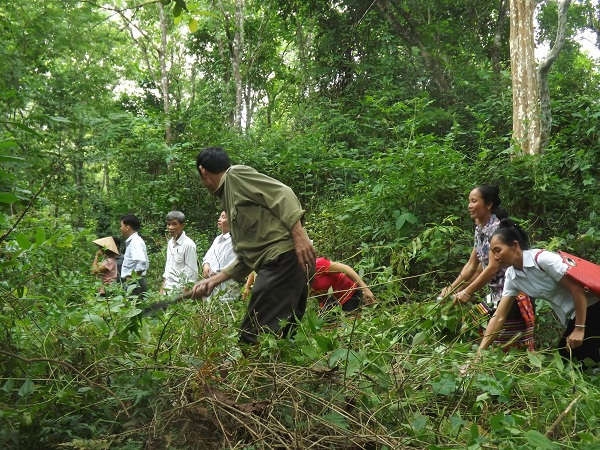Cộng đồng đóng vai trò quan trọng trong bảo vệ rừng tại Nghệ An