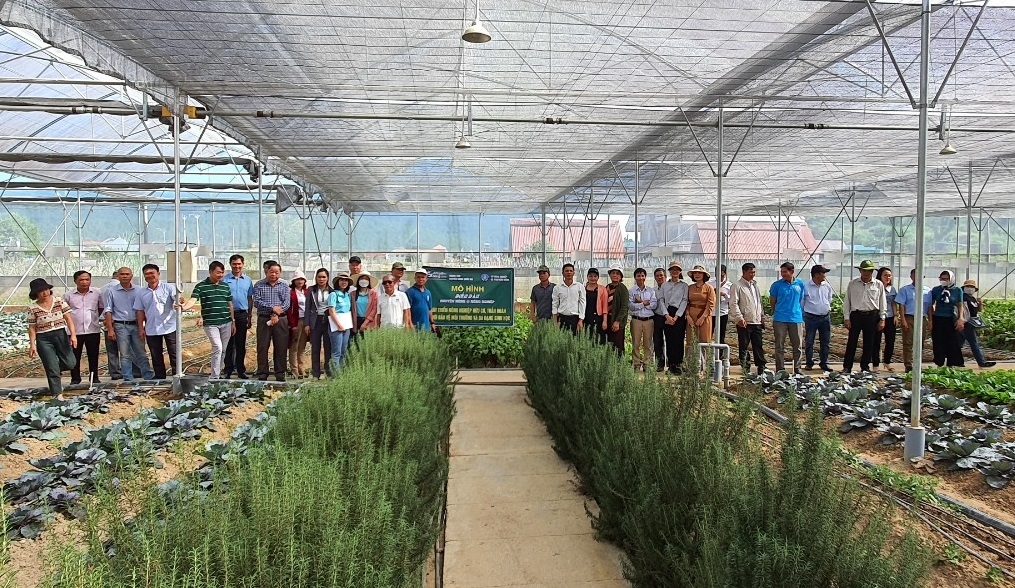 Trong khuôn khổ của diễn đàn, các đại biểu đã được tham quan thực tế trồng rau xanh theo mô hình nông nghiệp hữu cơ tại Lâm Đồng