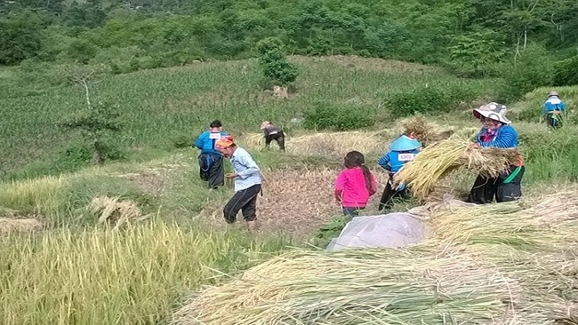 Nhiều hộ dân ở miền núi Thanh Hóa đang cần hỗ trợ đất sản xuất và đất ở để ổn định cuộc sống