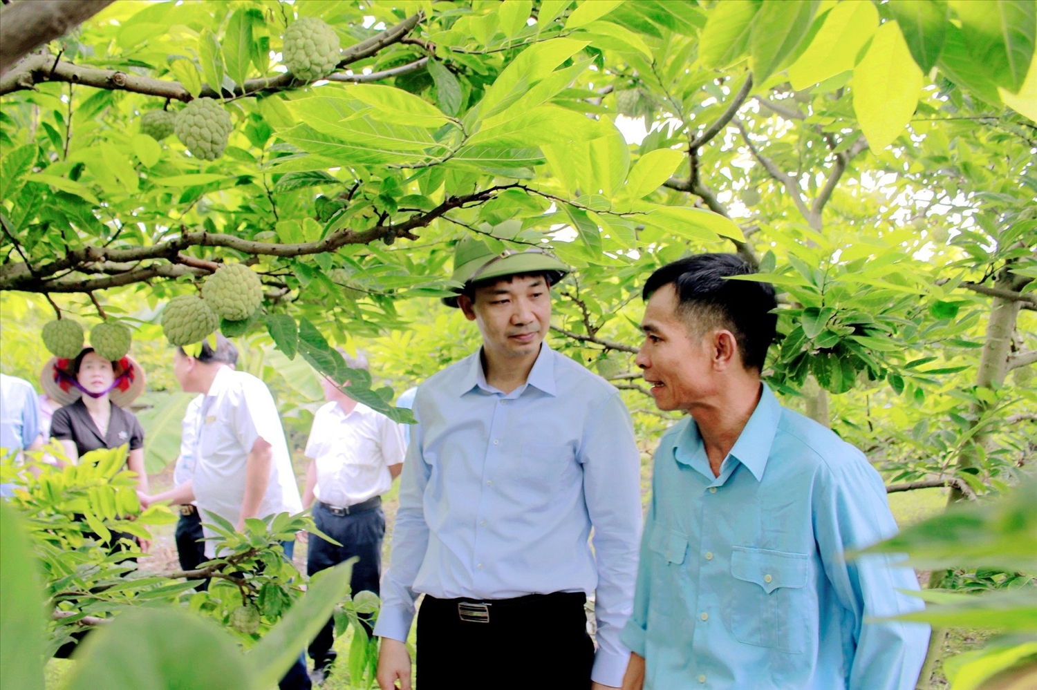 Lãnh đạo thị xã Đồng Triều thực tế, nắm bắt nguyện vọng các HTX, người dân tại các vườn na
