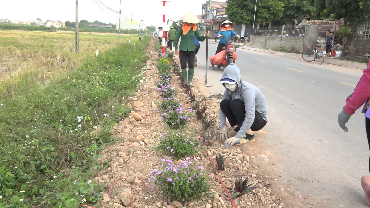 Nhân dân xã Bảo Sơn, huyện Lục Nam tham gia thực hiện tuyến đường hoa cấp huyện