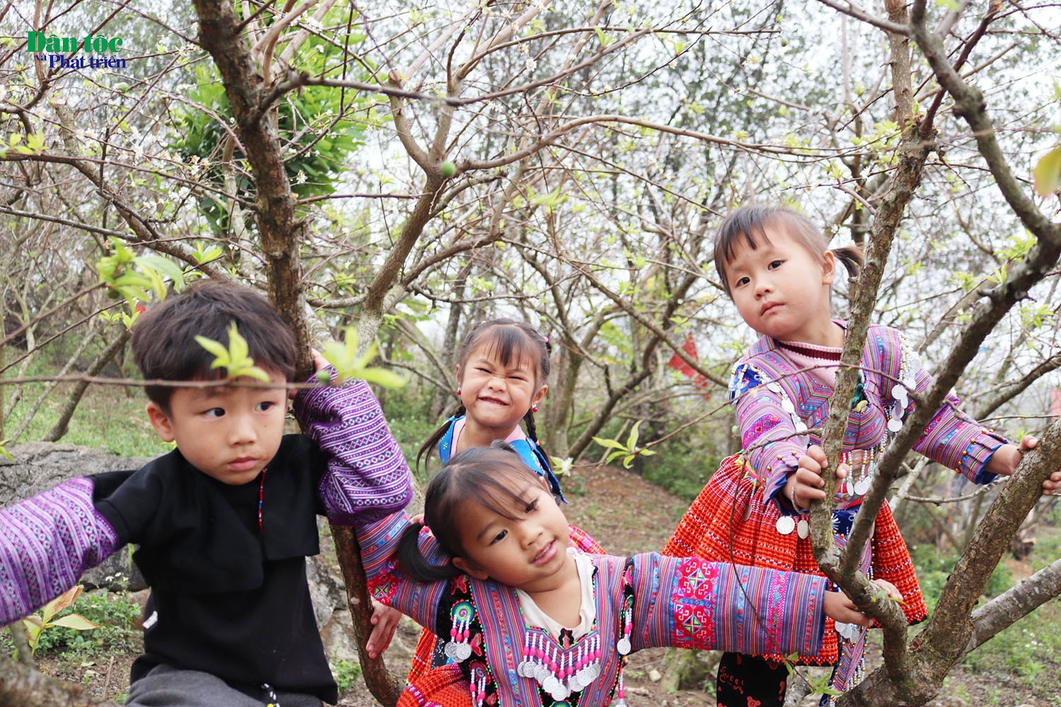 Trẻ em người Mông ở bản Tà Số