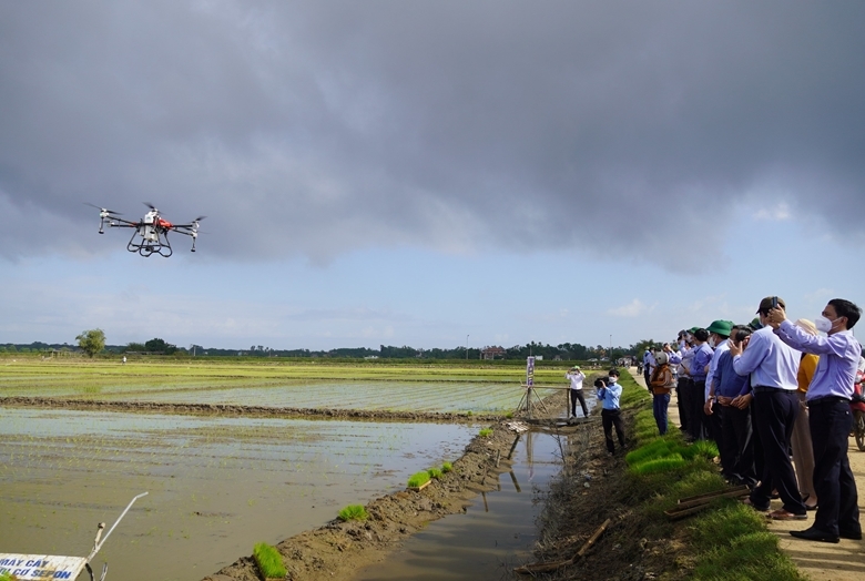 Quảng Trị đưa ứng dụng thiết bị bay không người lái để chăm sóc và phòng trừ sâu bệnh cho cây lúa tại huyện Hải Lăng