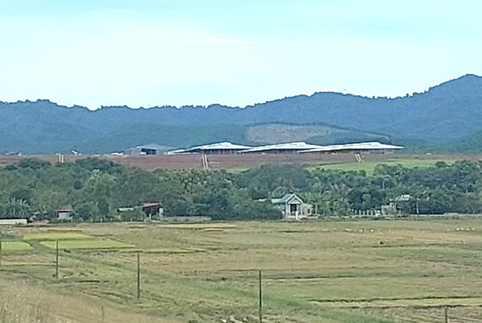 Khu vực trang trại bò của Công ty TNHH 2 thành viên Ứng dụng công nghệ cao nông nghiệp và thực phẩm sữa Yên Mỹ tại huyện Nông Cống, tỉnh Thanh Hóa