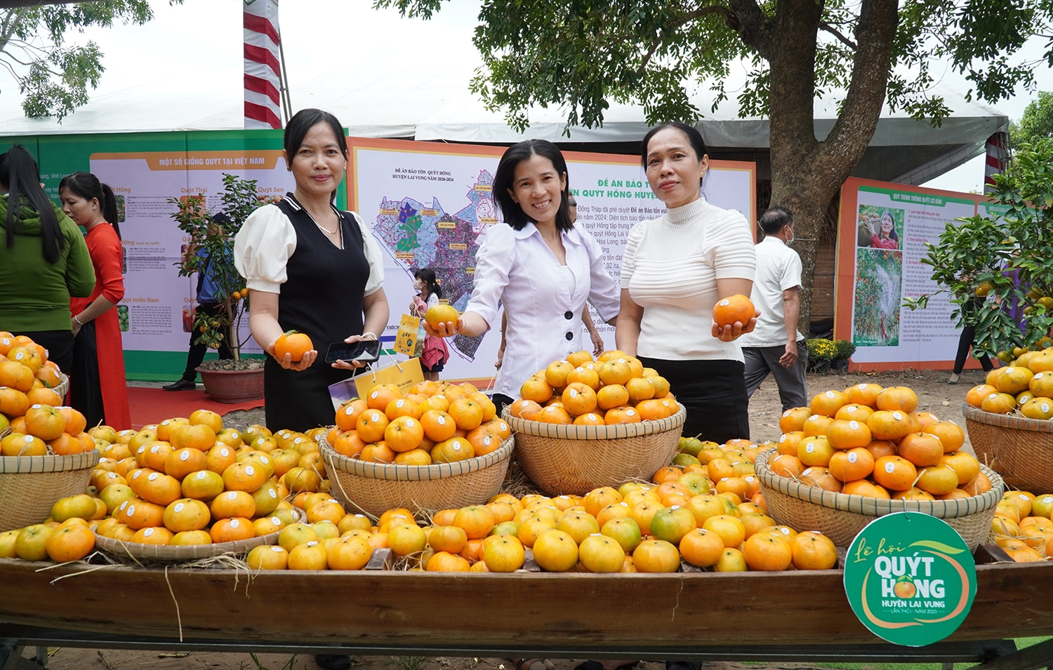 Những hoạt động quảng bá trái quýt hồng Lai Vung tại Lễ hội