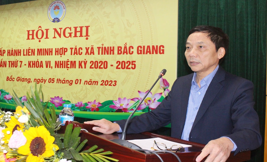 Ông Nguyễn Đức Hiền - Chủ tịch Liên minh HTX tỉnh Bắc Giang phát biểu tại hội nghị