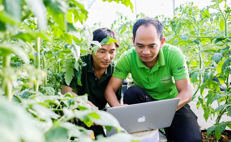 Những nhà nông thế hệ mới tại Lâm Đồng chia sẻ kinh nghiệm quản trị nông trại bằng công nghệ số