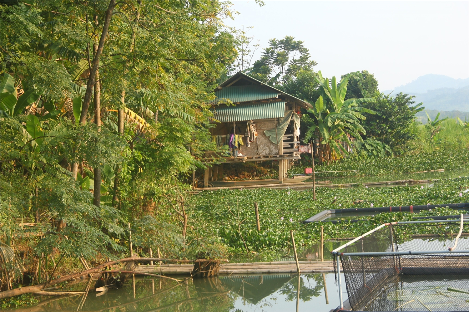 Một căn nhà của một gia đình ở bản Liên Hồng, xã Cam Lâm bị nước lòng hồ thủy điện Chi Khê bao vây