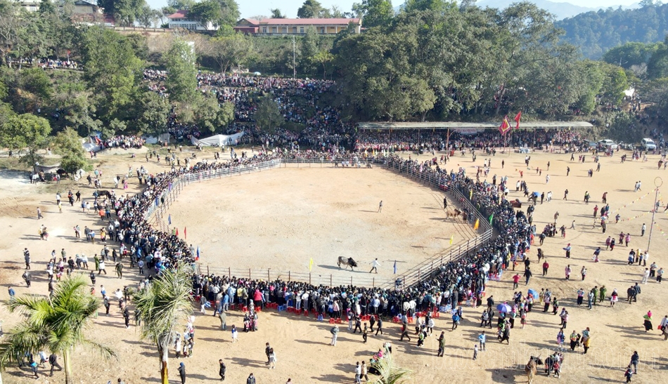 Hội chọi bò lần thứ VII diễn ra tại sân vận động huyện Điện Biên Đông