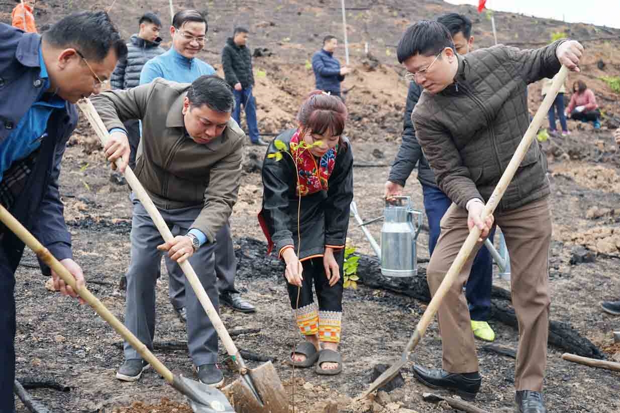 Hội Nông dân tỉnh và người dân hào hứng tham gia Lễ Phát động Tết trồng cây tại Ba Chẽ