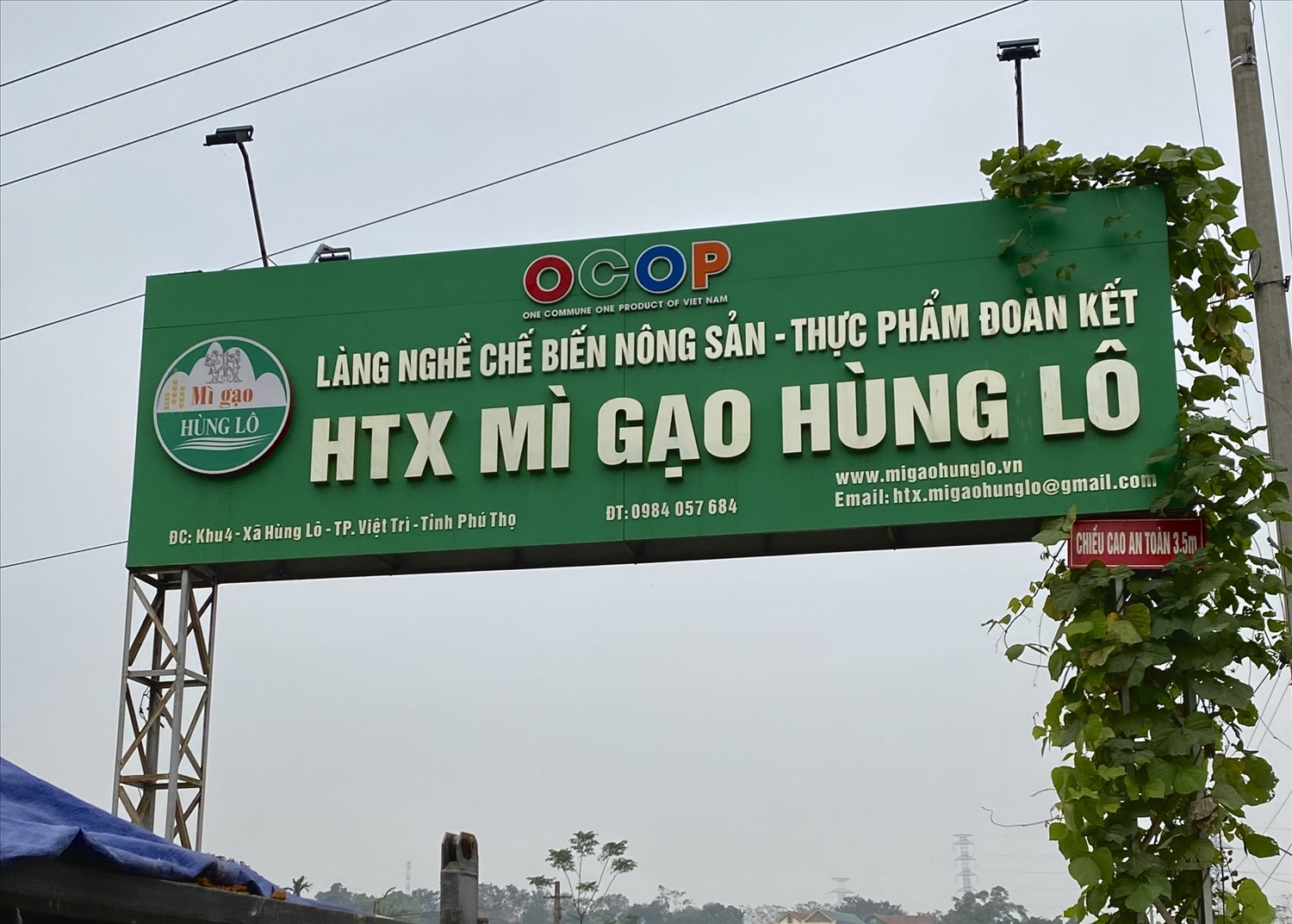 HTX Mì gạo Hùng Lô thuộc Tp. Việt Trì, Phú Thọ
