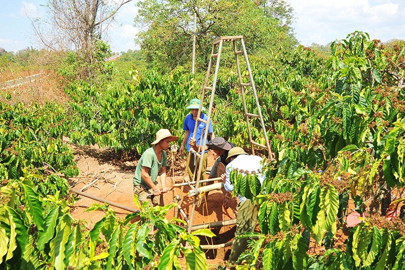 Người dân nạo vét giếng chuẩn bị nguồn nước tưới cho cây trồng trong mùa khô hạn