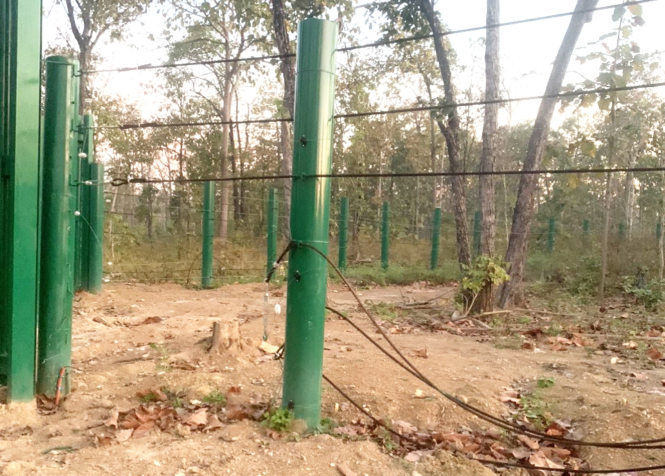 Hàng rào lưới điện của Trung tâm bị voi rừng làm hư hỏng