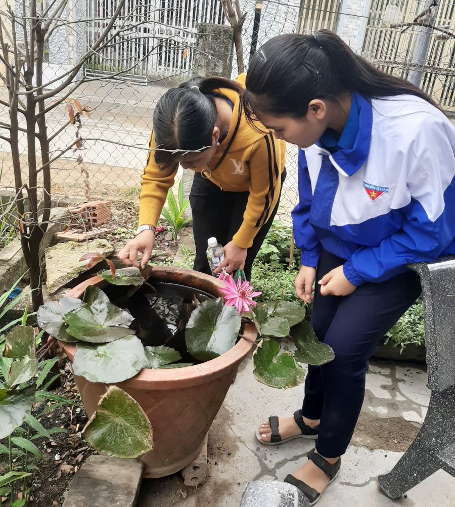 Ngành Y tế huyện Vĩnh Thạnh (Bình Định) vận động học sinh tham gia diệt lăng quăng, phòng ngừa sốt xuất huyết