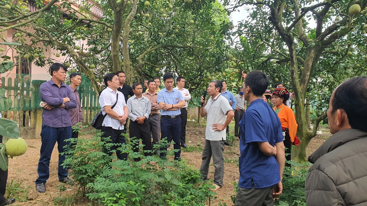 Đoàn đại biểu Người có uy tín Sơn La thăm quan mô hình phát triển sản xuất tại huyện Đoan Hùng, Phú Thọ 