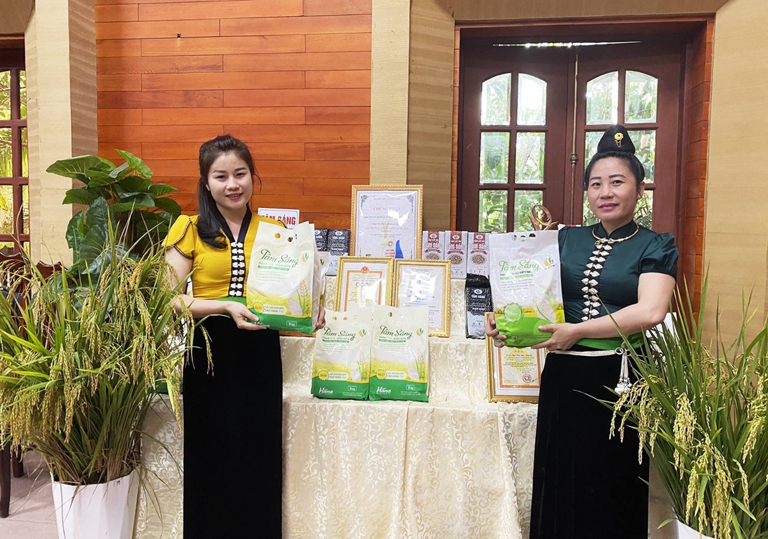 Giới thiệu các sản phẩm gạo được sản xuất trên cánh đồng Mường Thanh