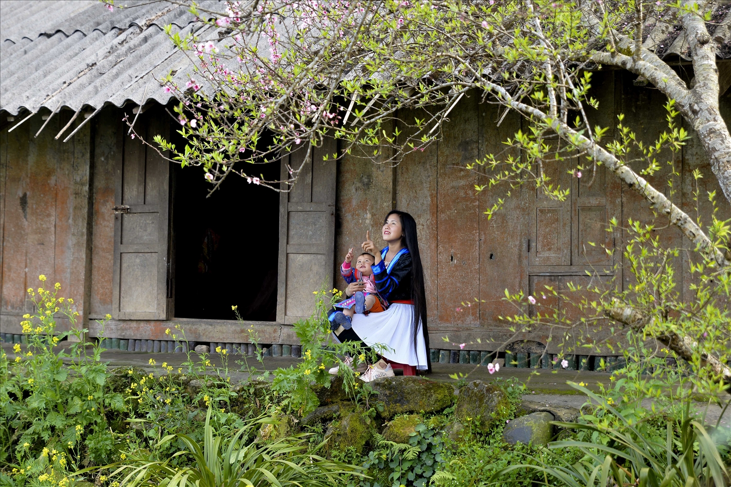 Trong khung cảnh hoa đào bung nở, hình ảnh người phụ nữ Mông bồng con bên hiên nhà là nét đặc trưng của mùa Xuân vùng cao. 