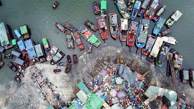 Chợ cá Bến Do trên vịnh Bái Tử Long