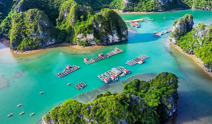 Quảng Ninh: Bổ sung thêm điểm tham quan du lịch mới trên vịnh Bái Tử Long |  Báo Dân tộc và Phát triển