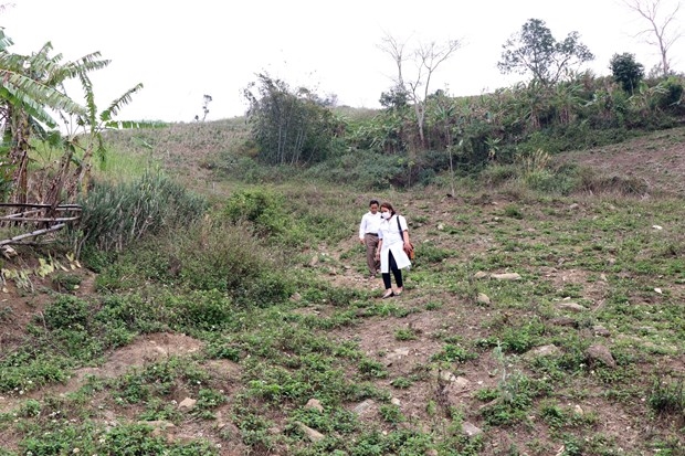 Do đặc thù địa bàn vùng cao, bác sĩ Nguyễn Thị Lan, Trạm trưởng Trạm Y tế xã Hồng Ngài phải cùng đồng nghiệp đi bộ đến nhà để khám bệnh cho đồng bào vùng cao. Ảnh: Hữu Quyết – TTXVN