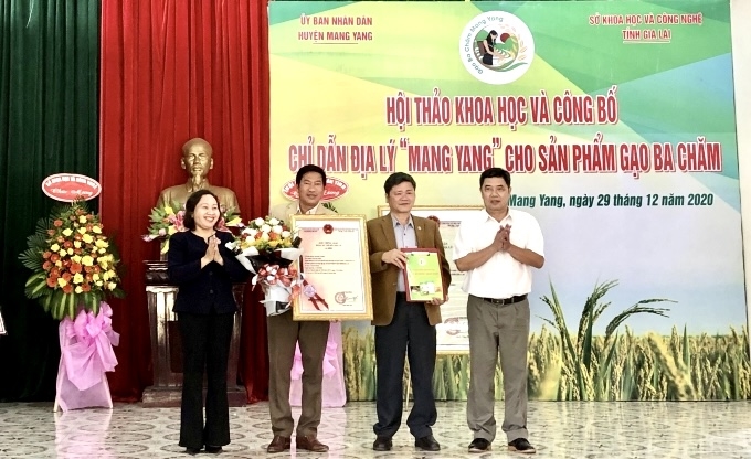 Sản phẩm gạo Ba Chăm được Cục Sở hữu trí tuệ (Bộ Khoa học và Công nghệ) chứng nhận đăng ký chỉ dẫn địa lý "Mang Yang"