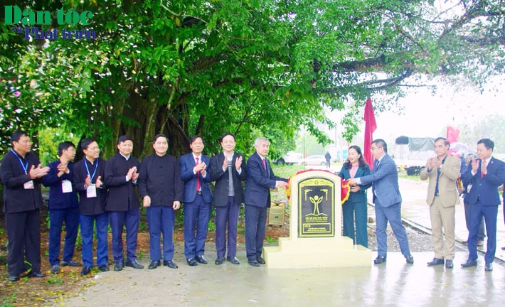 Cũng tại Lễ hội đình Đồng Đình 2023, 2 cây đa và cây si có tuổi đời trên 350 năm tuổi tại xã Phong Dụ, huyện Tiên Yên, được Hội đồng Cây di sản Việt Nam công nhận là Cây di sản Việt Nam