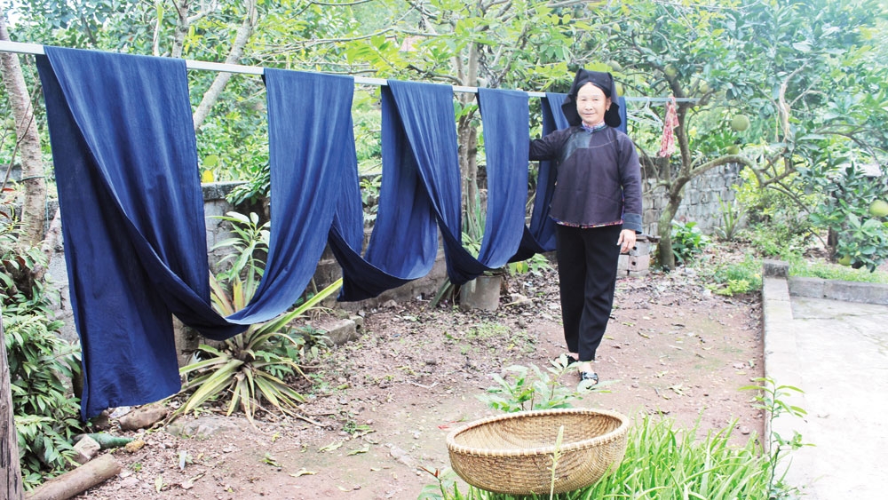 Bà Lăng Thị Họi, dân tộc Nùng, thôn Cầu Nhạc phơi vải chàm