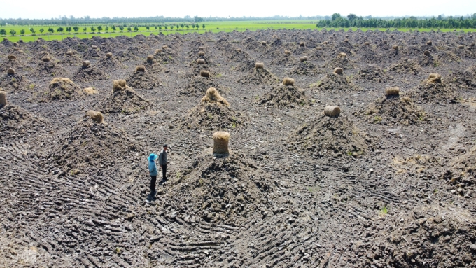 Hai ha đất lúa tại xã Tân Lập, Tân Thạnh (Long An) được san phẳng, đắp mô trồng sầu riêng. Ảnh: Hoàng Nam
