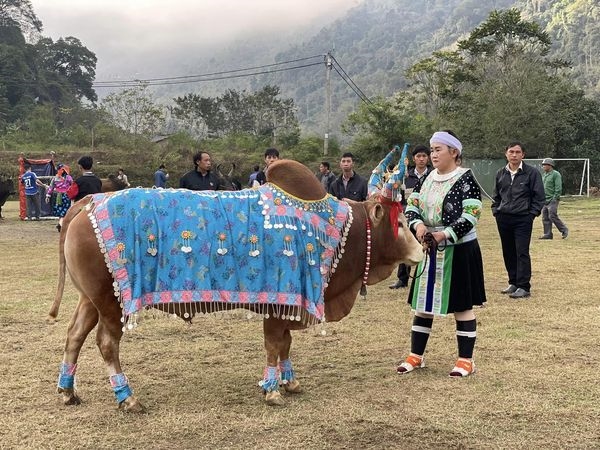 Thời trang ấn tượng của gia chủ giành cho “vận động viên”trước khi ra sân thi đấu tại Ngày hội văn hóa Mông huyện Hà Quảng