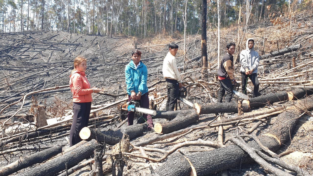 Các đối tượng tại hiện trường vụ phá rừng
