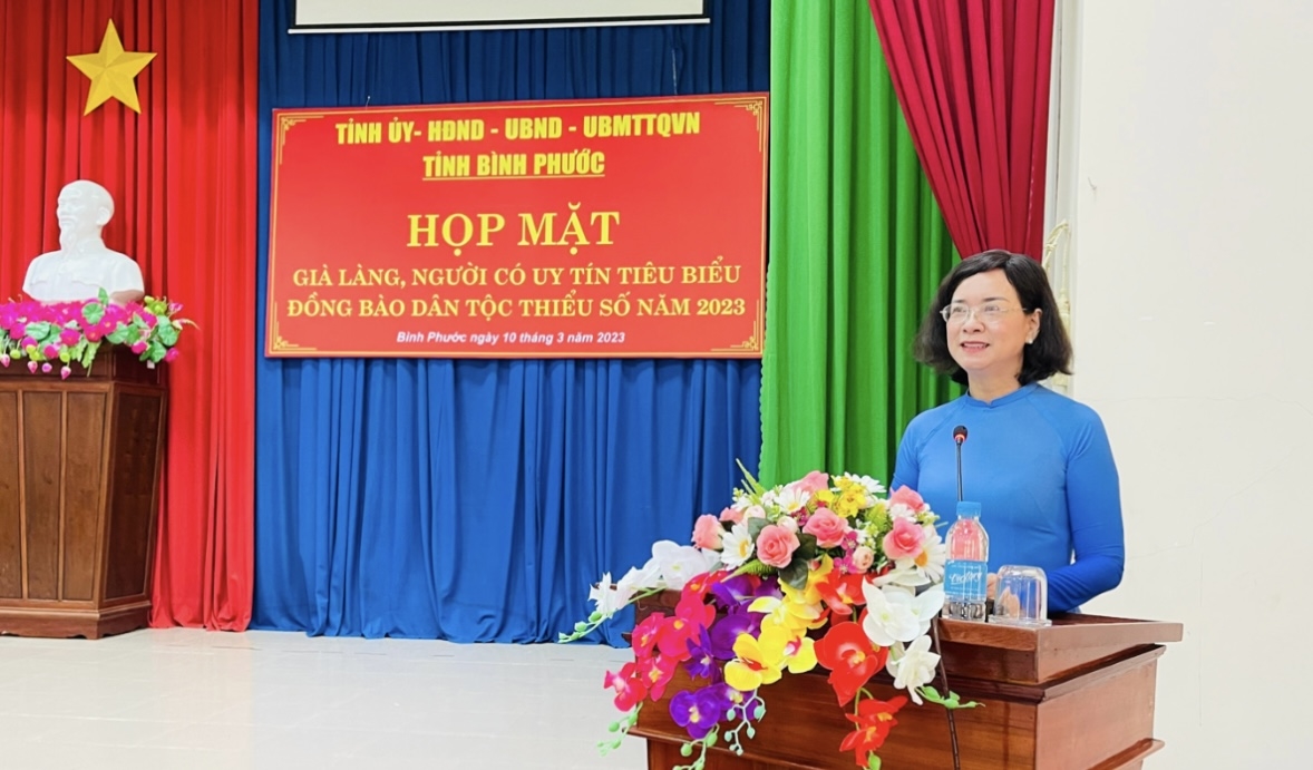 Ủy viên Ban Thường vụ Tỉnh ủy, Phó Chủ tịch UBND tỉnh Trần Tuyết Minh phát biểu tại Hội nghị