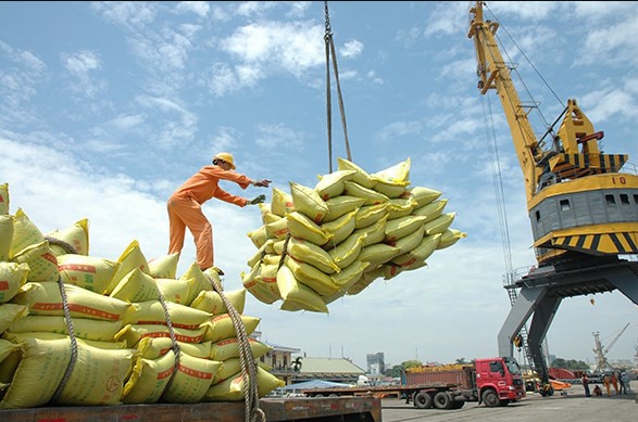 Giá gạo xuất khẩu tăng cao nhất trong gần 2 năm qua. Ảnh: Yên Nội