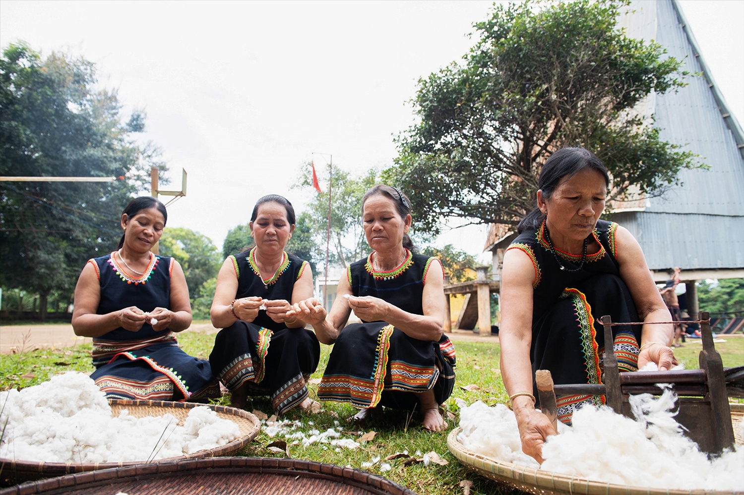 Phụ nữ ở làng Plei Lay trồng cây bông để có nguyên liệu làm sợi dệt