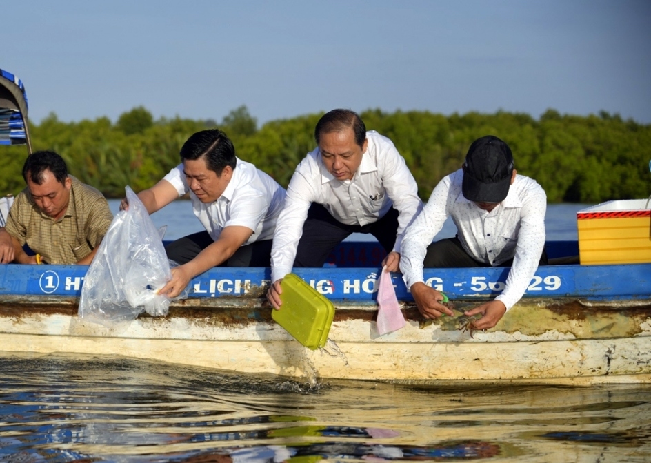 Ban Tổ chức Lễ hội Kỷ niệm thành lập Tao đàn Chiêu Anh Các ở TP. Hà Tiên thả cá, tôm, ghẹ giống về biển, duy trì nguồn lợi hải sản trong môi trường tự nhiên
