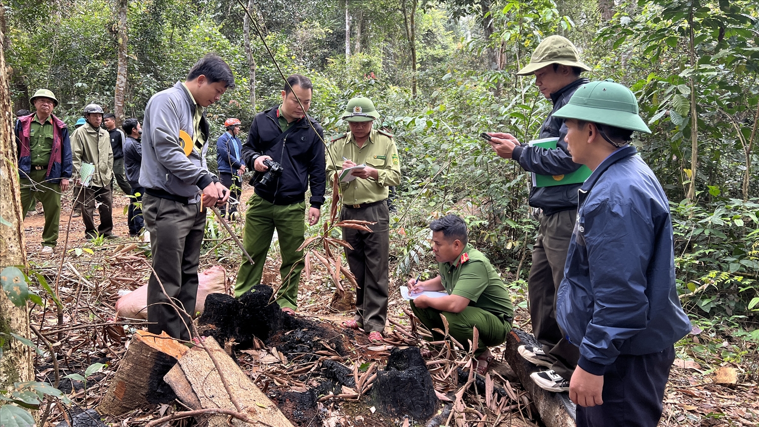 Đoàn liên ngành huyện Kbang kiểm tra hiện trường vụ phá rừng trên lâm phần quản lý của Công ty TNHH MTV Lâm nghiệp Sơ Pai