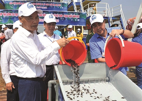 Ông Phùng Đức Tiến (ngoài cùng bên trái), Thứ trưởng Bộ Nông nghiệp và Phát triển nông thôn cùng lãnh đạo Sở Nông nghiệp và Phát triển nông thôn tỉnh Quảng Ninh thả con giống tái tạo nguồn lợi thủy sản.