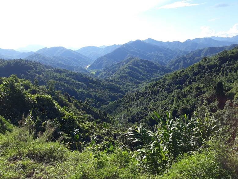 Xã Pa Tần, huyện Nậm Pồ có lợi thế về diện tích đất đai tự nhiên 